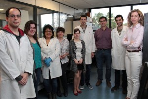 Investigadores de la UBU desarrollan un tratamiento del grafeno más limpio y efectivo