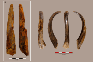 Descubren las herramientas neandertales de madera más antiguas de la península ibérica