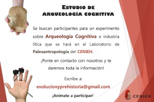El CENIEH busca voluntarios para un estudio sobre arqueología cognitiva