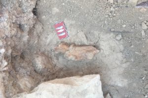 La X Campaña de excavación de Treviño confirma el hallazgo de la cantera más antigua de la península ibérica