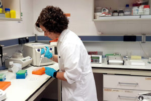 La UBU pone a disposición del Gobierno equipamiento para hacer las pruebas del coronavirus