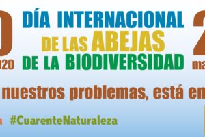 Día Mundial de las Abejas y Día Mundial de la Biodiversidad el 20 y 22 de mayo
