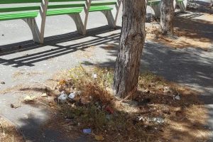 El PP urge a la limpieza de los alcorques, que se han convertido en foco de suciedad en toda la ciudad