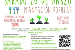 Ciudadanos culturales y sociales y 250 voluntarios se reunen este sábado para celebrar el Día del árbol plantando 1OOO en Burgos