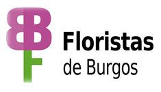 Malestar en la Asociación de Floristas y Jardineros de Burgos por la retirada de terrazas en la Flora
