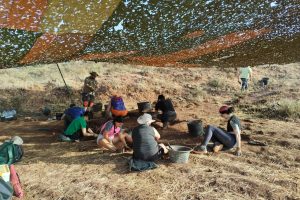 El equipo investigador de Salas de los Infantes recupera nuevos hallazgos fósiles del Cretácico en la campaña 2022