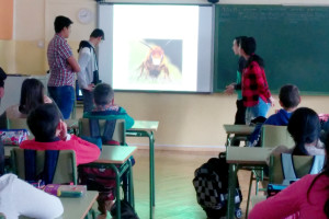 Un grupo de jóvenes del Programa de Apoyo al Menor de Cáritas Burgos (CDAM) promueve un proyecto de protección a las abejas.