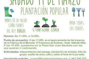Para celebrar el Día del Árbol se realizará una plantación en el Monte de la Salud