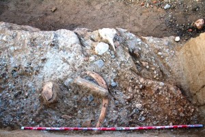 VI Campaña de excavaciones en el yacimiento paleolítico de Ambrona