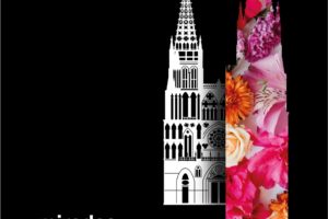 La séptima edición de la Fiesta de las Flores estará dedicada a la Catedral de Burgos los días 17, 18 y 19 de mayo