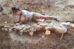 Entre los días 15 y 30 de julio se realizará la XVII campaña de excavaciónes paleontológicas en la Sierra de la Demanda