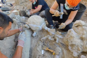 Balance final de la 4ª campaña de excavaciones en Torrelara (Burgos)