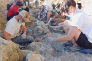 Nueva campaña de excavaciones de dinosaurios en la Sierra de la Demanda