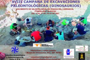 Fechas y horarios para visitar las excavaciones del yacimiento de dinosaurios en Torrelara