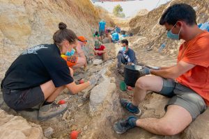 Balance final de la XVIII Campaña de excavaciones de dinosaurios en Burgos, V Campaña en Torrelara