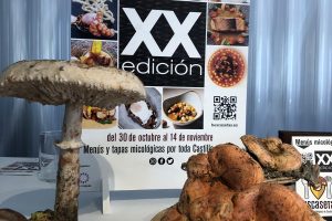La Junta presenta las Jornadas Gastro-Micológicas ‘Buscasetas 2021’ con la participación de más de 180 restaurantes y bares de la Comunidad