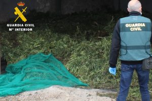 La Guardia Civil desarticula un grupo criminal dedicado al tráfico de marihuana mediante cultivo ilícito de cáñamo