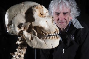 El Museo de la Evolución Humana presenta las siete vértebras cervicales completas del ‘Cráneo 5’, que se pueden ver desde hoy en su exposición permanente
