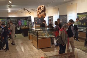 Un cuarto de millón de visitantes en el Museo de Dinosaurios