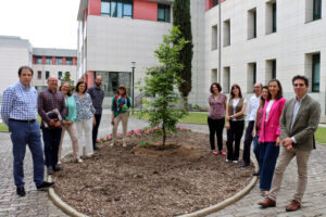 La Universidad de Burgos se suma al Día Mundial del Medio Ambiente